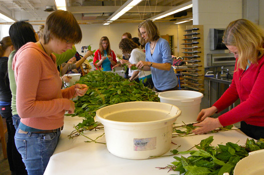 Class involving Plants
